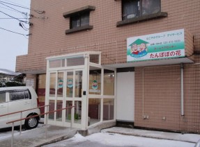 たんぽぽの花